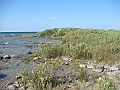 Western Michigan [2010] 820